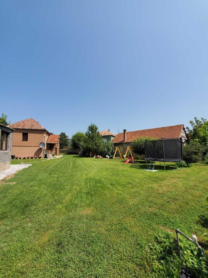 Dvor Villa Donja Toponica Exterior photo